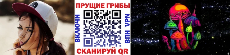 Псилоцибиновые грибы GOLDEN TEACHER  Грайворон 