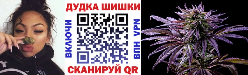 МАРИХУАНА ГИДРОПОН сколько стоит Грайворон